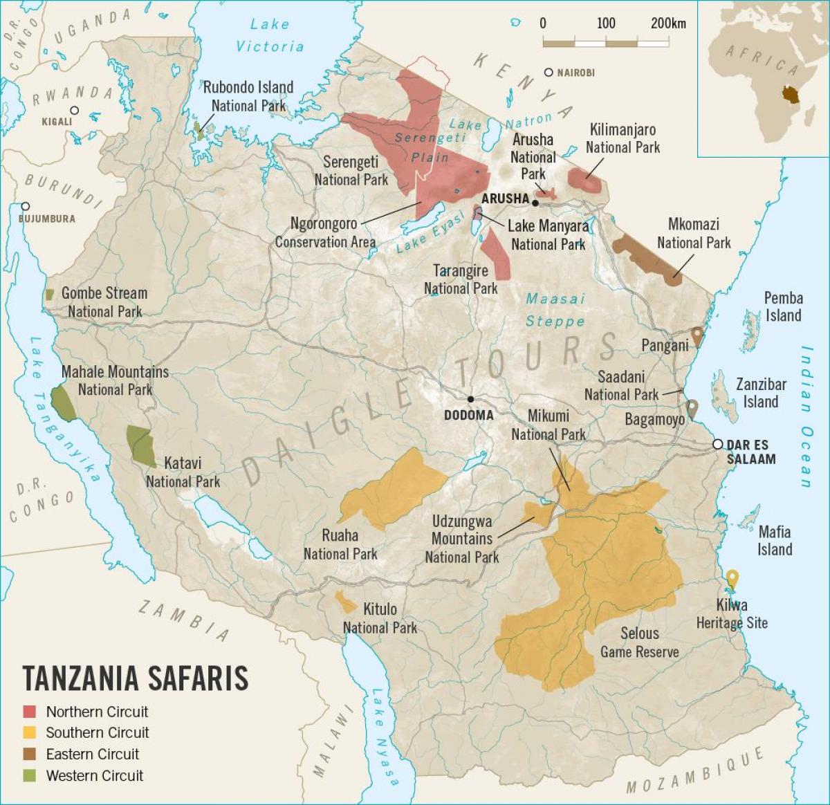 Kart Tanzaniya safari 