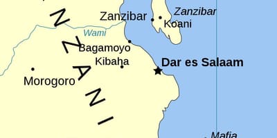 Adanın xəritədə Tanzaniya