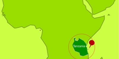 Kart mafiya-ada Tanzaniya