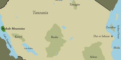 Kart Tanzaniya dağlar