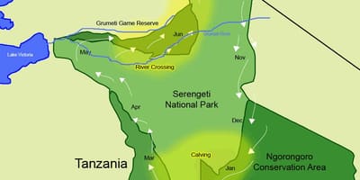 Kart miqrasiya Tanzaniya 